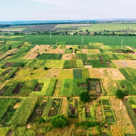Arsa & Arazi Yatırımları
